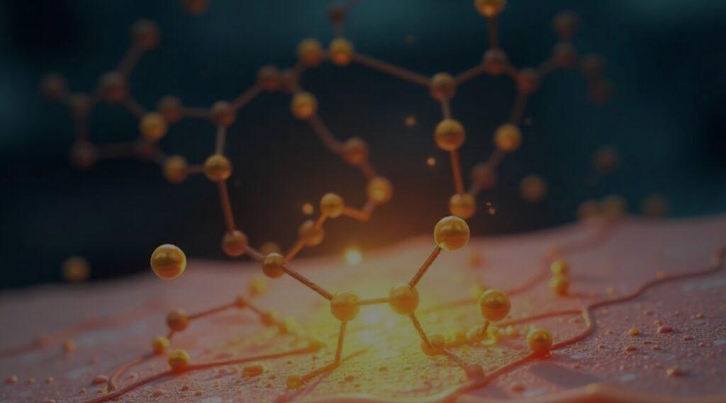 Ceramides in Skincare